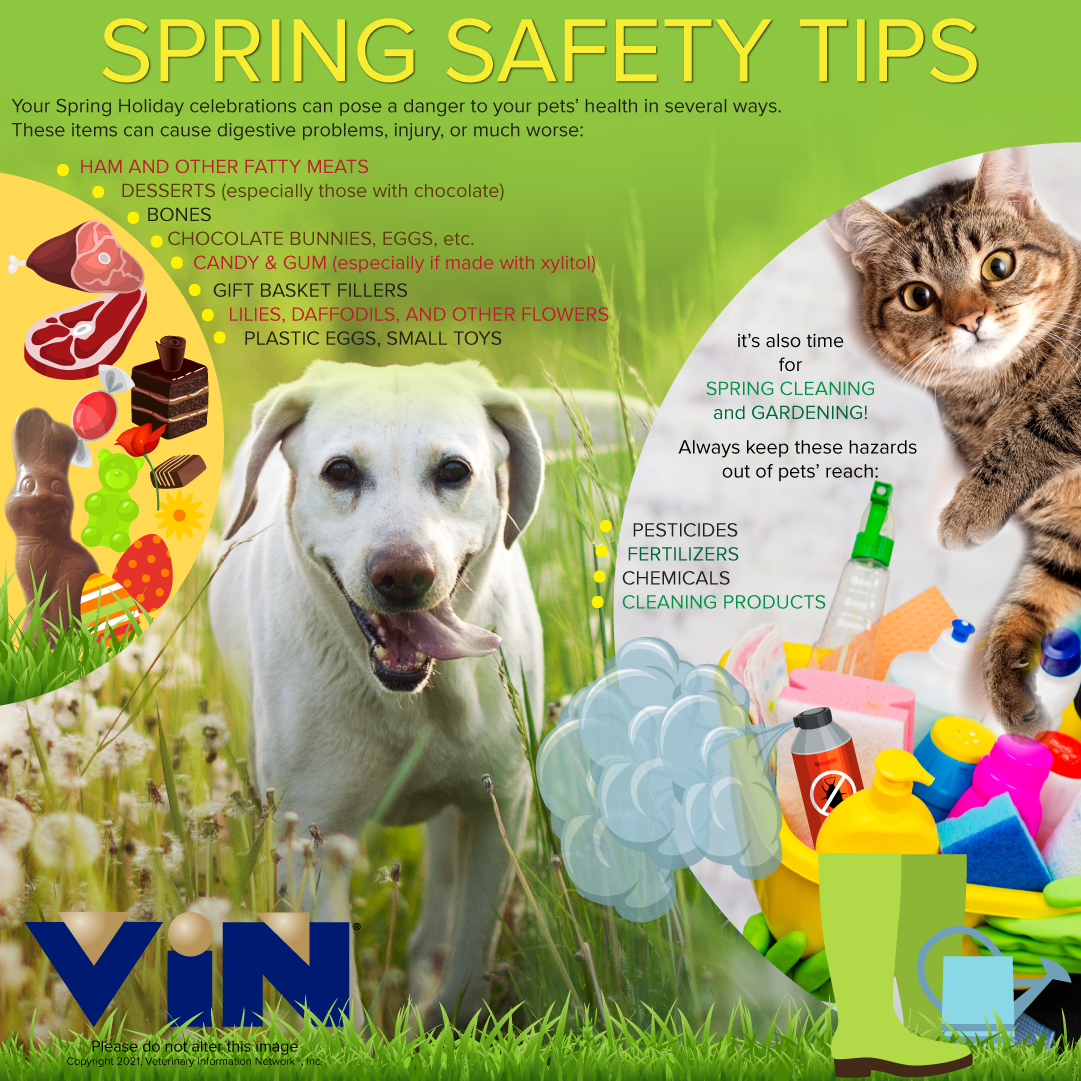 Spring Pet Safety Tips